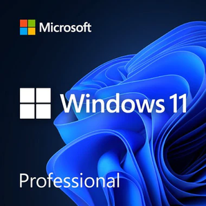 Microsoft Windows 11 Pro 64-Bit Full Version (Download) - SPECIAL OFFER